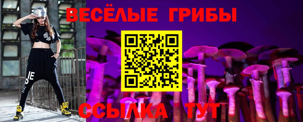 Псилоцибиновые грибы мухоморы  Галлюциногенные грибы Cubensis  Вичуга  Вход с VPN 